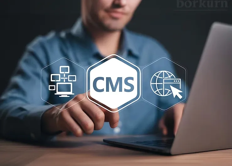 cms Framework